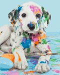 Set Pictura pe numere, Acuarello, Dalmatian