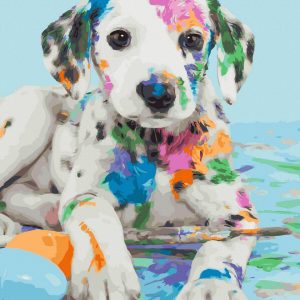 Set Pictura pe numere, Acuarello, Dalmatian