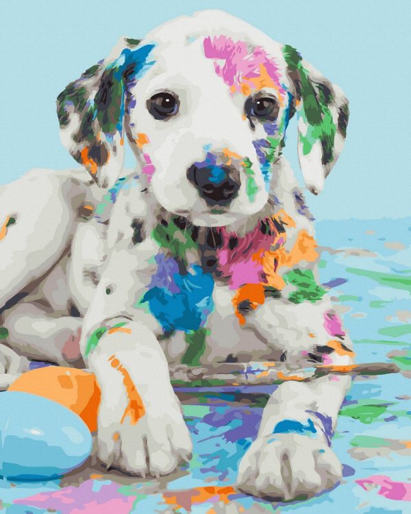Set Pictura pe numere, Acuarello, Dalmatian