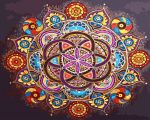 Set Pictura pe numere, Acuarello, Mandala abundentei
