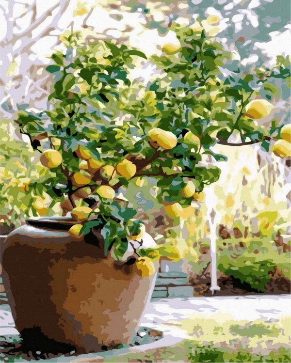 Set Pictura pe numere, Acuarello, Lemon