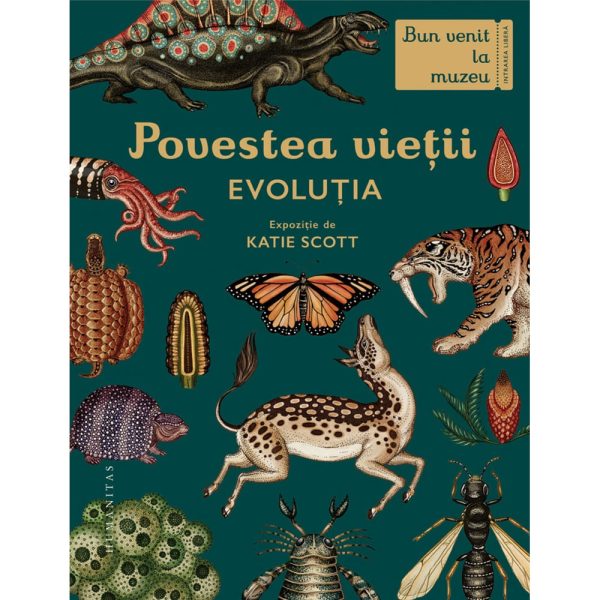 Carte Editura Humanitas, Povestea vietii: Evolutia, Fiona Munro