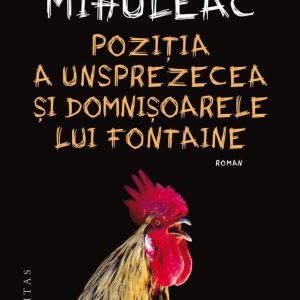 Pozitia a unsprezecea si Domnisoarele lui Fontaine, Catalin Mihuleac