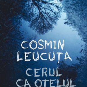 Cerul ca otelul, Cosmin Leucuta