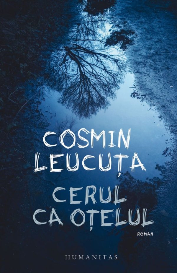 Cerul ca otelul, Cosmin Leucuta