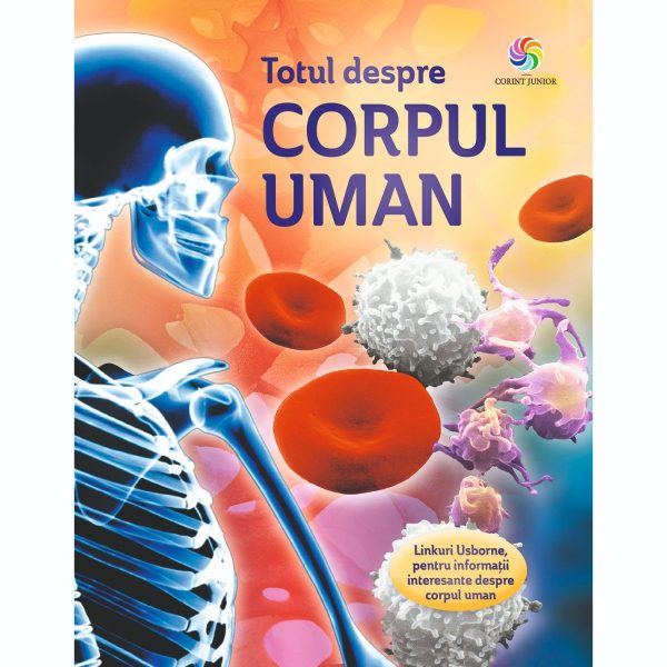 Carte Editura Corint, Totul despre corpul uman, Anna Claybourne