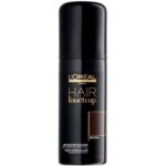 L’Oréal Professionnel Hair Touch Up corector pentru acoperirea firelor carunte de par