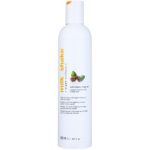 Milk Shake Argan Oil sampon cu argan pentru toate tipurile de păr