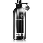 Montale Aoud Lime Eau de Parfum unisex