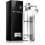 Montale Fougeres Marine Eau de Parfum unisex