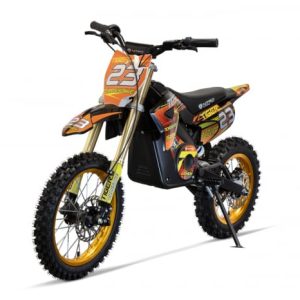 Motocicleta electrica Eco Tiger 1500W 14 12 48V 14Ah Lithiu ION, culoare portocalie