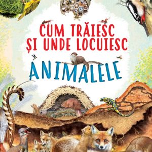 Cum traiesc si unde locuiesc animalele