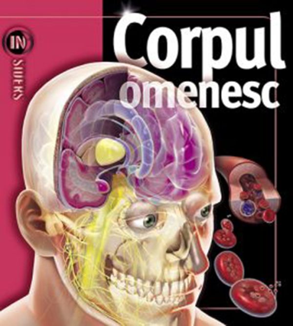 Insiders - Corpul omenesc, Linda Calabresi