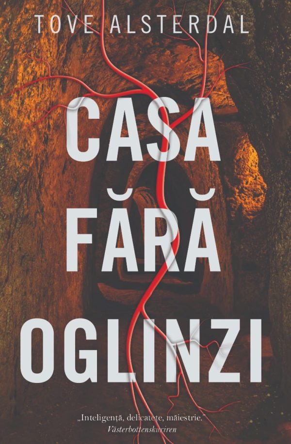 Casa fara oglinzi, Tove Alsterdal