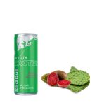 Red Bull Cactus Fruit 0.25L