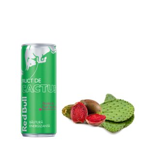 Red Bull Cactus Fruit 0.25L