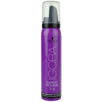 Schwarzkopf Professional IGORA Expert Mousse vopsea de par sub forma de spuma pentru păr