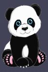 Set Pictura pe numere, Acuarello, Ursuletul Panda