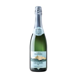 Sellaronda Blanc de Blancs Brut Vigneti delle Dolomiti 0.75L