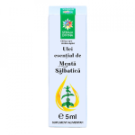 Ulei esential de menta salbatica, 5ml, Steaua Divina