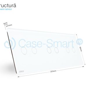 structura-4
