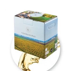 Terre di Rai Rosato - Vin Rose Sec - Italia - 5L