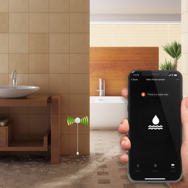 Senzor de inundatie inteligent Tellur, Notificari, Wi-Fi, Control aplicatie