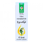 Ulei esential de eucalipt, 5ml, Steaua Divina