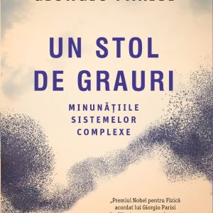Un stol de grauri, Giorgio Parisi