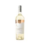 Feudi Salentini Terra Malvasia Bianca del Salento IGP - Vin Sec Alb - Italia - 0.75L