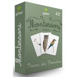 Editura Gama, Carti de joc educative Montessori Seria 4, Pasari din Romania