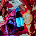 Apa de Rozmarin Bio, FLORY, in ambalaj 100 ml.